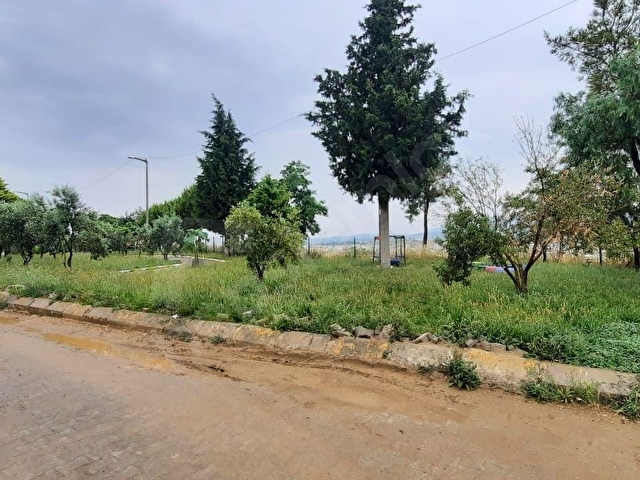 BODRUM ILE MILAS ARASINDA DENİZE SIFIR SİTEDE - Görsel 11