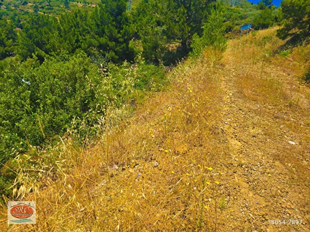 Mersin Anamur Anıtlı Yatırıma Uygun Satılık  Tarla - Görsel 14