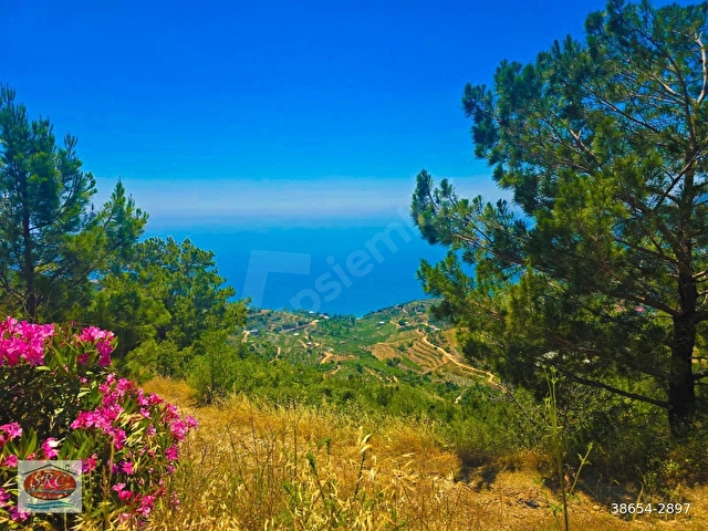 Mersin Anamur Anıtlı Yatırıma Uygun Satılık  Tarla