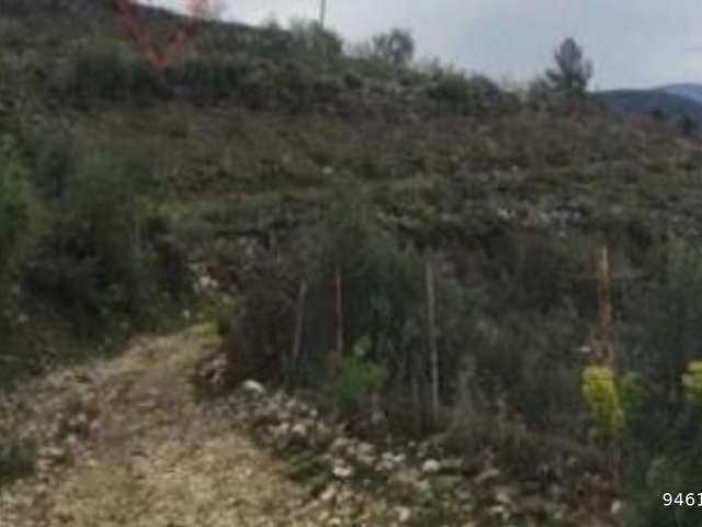Antalya Finikede Acil Satilik Arsa Icnde Meyve Bahcesi 16 237m2 94612 854 Hurriyet Emlak