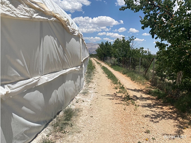 ALİ TOSUNDAN  BAYRALAR *DA  ZEMİNDE KULLANILAN VE ÇAKILLANMIŞ YOLU OLAN 1.488m2  ARAZİMİZ - Görsel 19