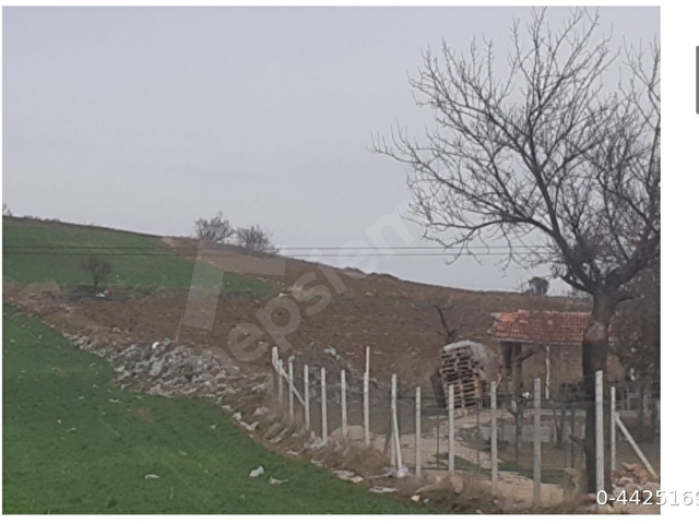 Fırsat Yatırımlık Tarla Arsası gelişme bölgesinde Şehirler Arası yola yakın - Görsel 3