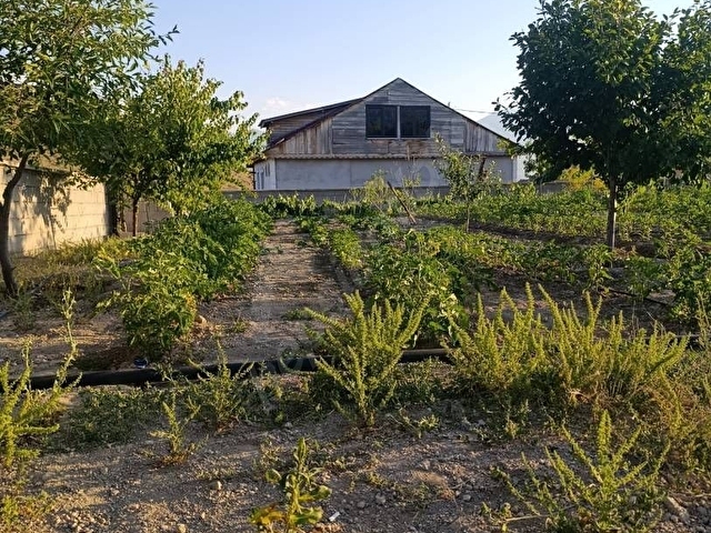 Erzincan üzümlü Yunus Emre mahallesi satılık arsa - Görsel 18