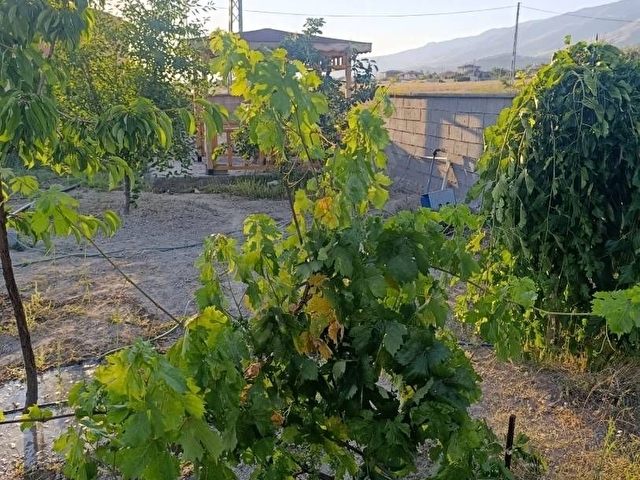 Erzincan üzümlü Yunus Emre mahallesi satılık arsa - Görsel 12