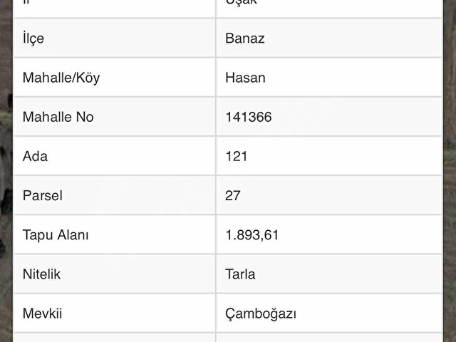Uşak Banazda Kaplıca yakını Kaçırılmaz Fırsat Arsa - Görsel 3