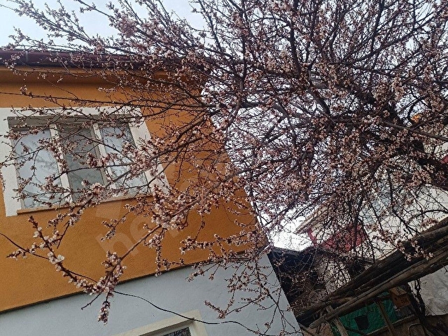 Orhangazi mahallesi 2 katlı yapılı 4 kata imarlı 305 M2 arsası