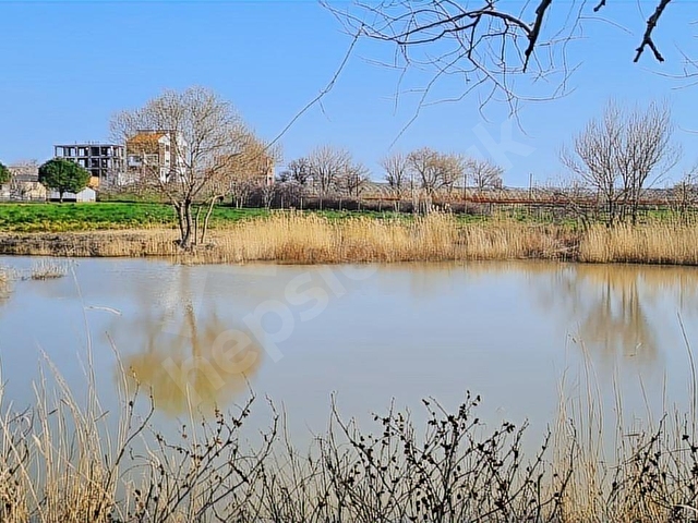 Edirne Enezde satılık müstesna çiftlik... - Görsel 2