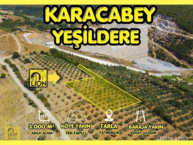 🟨⬛LION EMLAKTAN BURSA KARACABEY YEŞİLDEREDE SU YAKINI SATILIK 3.000M² TARLA⬛🟨