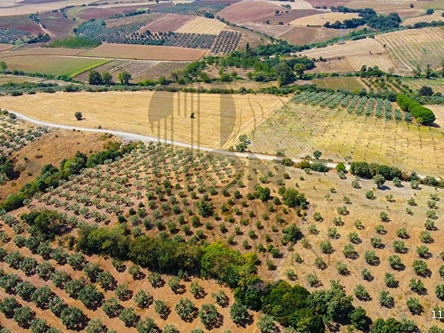 🟨⬛LION EMLAKTAN BURSA KARACABEY YEŞİLDEREDE SU YAKINI SATILIK 3.000M² TARLA⬛🟨 - Görsel 10