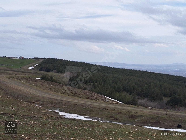 BULDUKPINARI MAHALLESİNDE SATILIK 8.900 m² TARLA - Görsel 20