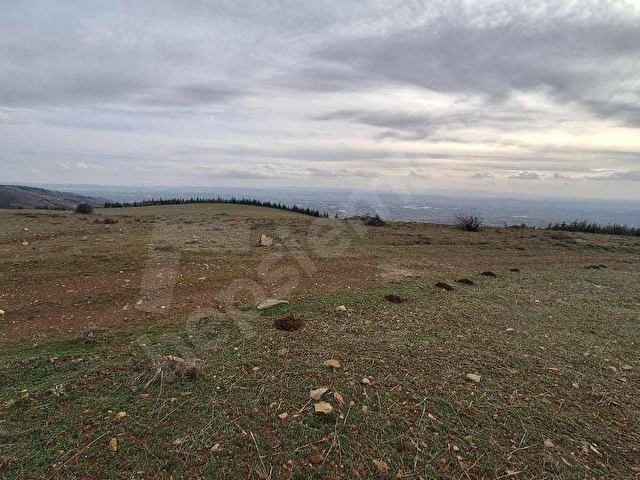 BULDUKPINARI MAHALLESİNDE SATILIK 8.900 m² TARLA - Görsel 14