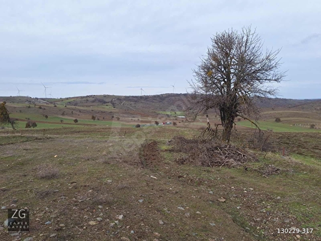 BULDUKPINARI MAHALLESİNDE SATILIK 8.900 m² TARLA