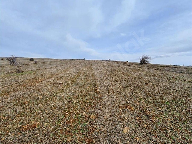 BULDUKPINARI MAHALLESİNDE SATILIK 8.900 m² TARLA - Görsel 7