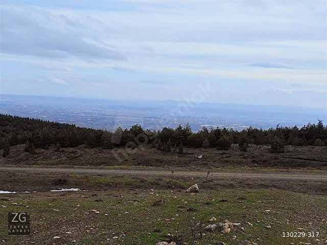BULDUKPINARI MAHALLESİNDE SATILIK 8.900 m² TARLA - Görsel 19