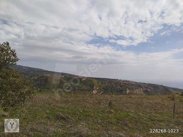 Şarköy Tepeköy 3.343m2 Satılık Tarla - Görsel 12