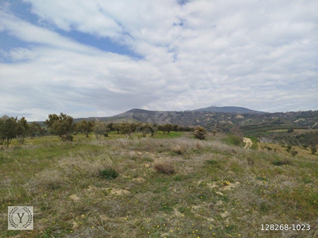 Şarköy Tepeköy 3.343m2 Satılık Tarla - Görsel 26