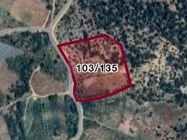 TOROSLAR DEĞNEK KÖYÜNDE 14.988M² SATILIK BAHÇE