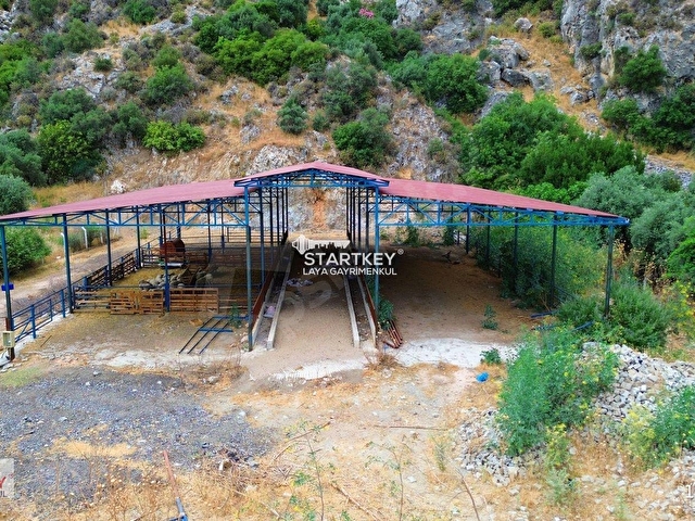 TİCARİ İMARLI, TAŞ EVLİ, ZEYTİNLİK ÖZELLİKLİ YATIRIM FIRSATI - Görsel 12