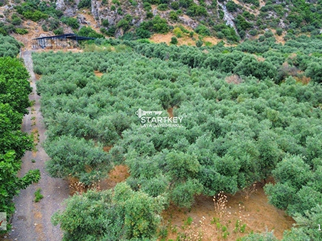 TİCARİ İMARLI, TAŞ EVLİ, ZEYTİNLİK ÖZELLİKLİ YATIRIM FIRSATI - Görsel 8