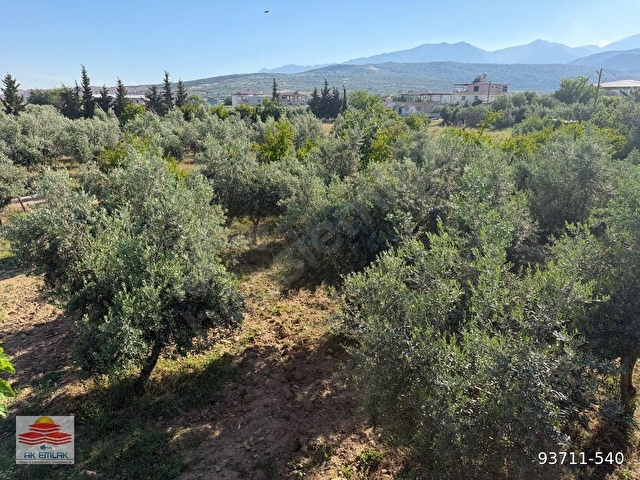 Passa Girne Mahallesi’nde çevre yoluna yakın konumda satılık 1000 metre² civarı arsa - Görsel 2