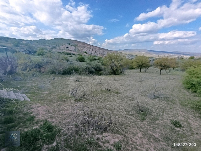 ACİL SATILIK BAĞ EVİ - Görsel 25