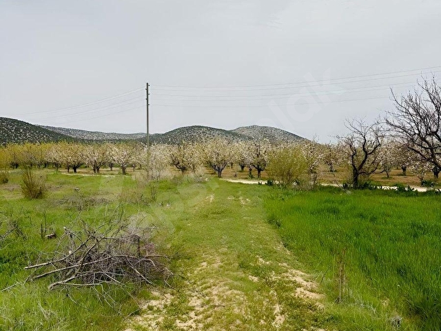 KORKUTELİ YAZIRDA MERKEZİ KONUMDA 5.000 M² YATIRIMLIK BAHÇE! - Görsel 10