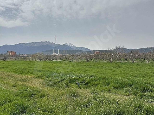 KORKUTELİ YAZIRDA MERKEZİ KONUMDA 5.000 M² YATIRIMLIK BAHÇE! - Görsel 29