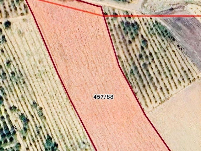 KORKUTELİ YAZIRDA MERKEZİ KONUMDA 5.000 M² YATIRIMLIK BAHÇE! - Görsel 6