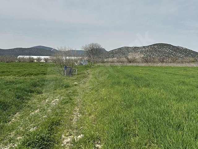 KORKUTELİ YAZIRDA MERKEZİ KONUMDA 5.000 M² YATIRIMLIK BAHÇE! - Görsel 25