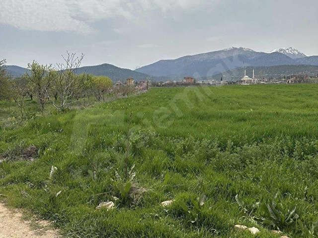 KORKUTELİ YAZIRDA MERKEZİ KONUMDA 5.000 M² YATIRIMLIK BAHÇE! - Görsel 19