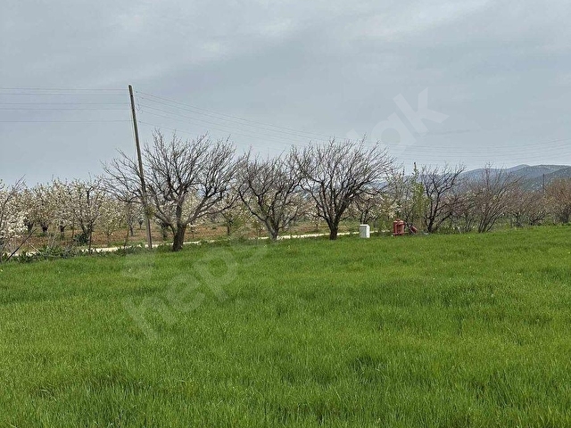 KORKUTELİ YAZIRDA MERKEZİ KONUMDA 5.000 M² YATIRIMLIK BAHÇE! - Görsel 12