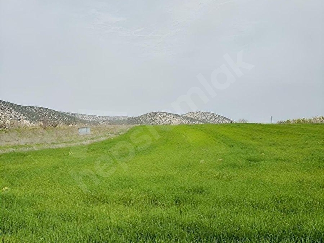 KORKUTELİ YAZIRDA MERKEZİ KONUMDA 5.000 M² YATIRIMLIK BAHÇE! - Görsel 27