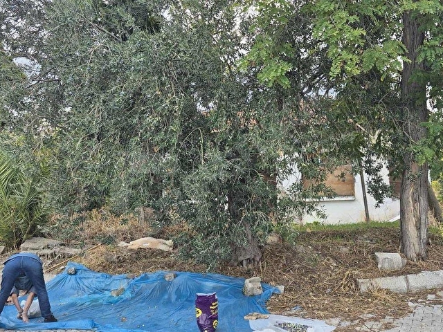 izmir ili dikili ilçesinde kabakum mevkiinde satılık 405 m2 arsa - Görsel 15