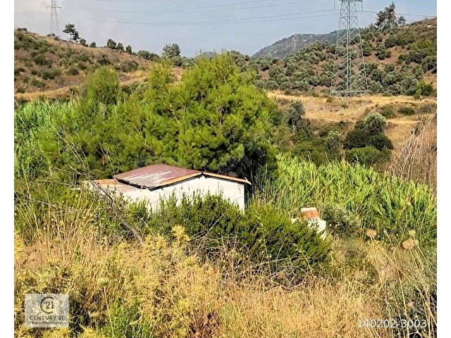 Bodrum Gökpınar da  2.546,87 m2 Satılık Zeytinlik