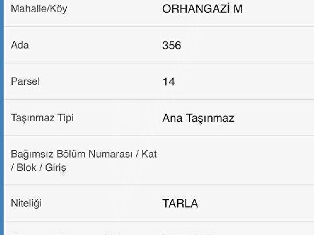 SERVİLİ YOLUNDA SATILIK 29 DEKAR TARLA - Görsel 7
