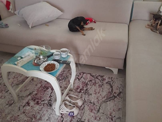 Kumbağ Müstakil 2 Adet Daire - Görsel 13