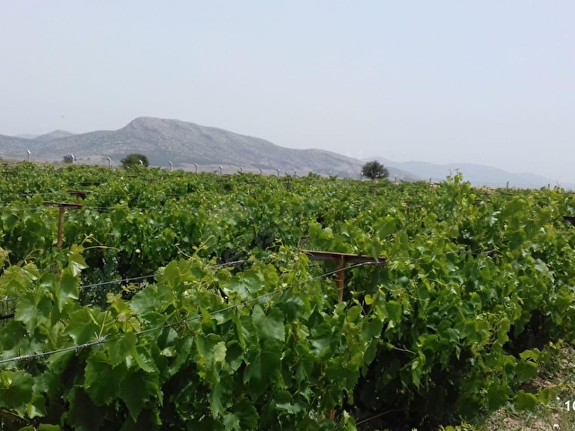 Antalya Yesilyayla Da Satilik Bahce Icinde Evi Vardir 10596 3510 Hurriyet Emlak