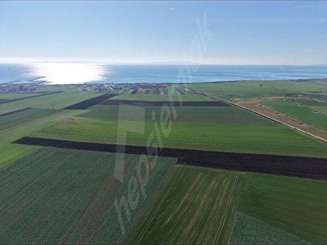 Tekirdağ Marmara Ereğlisi Çeşmeli yatırımlık kelepir tarla - Görsel 5