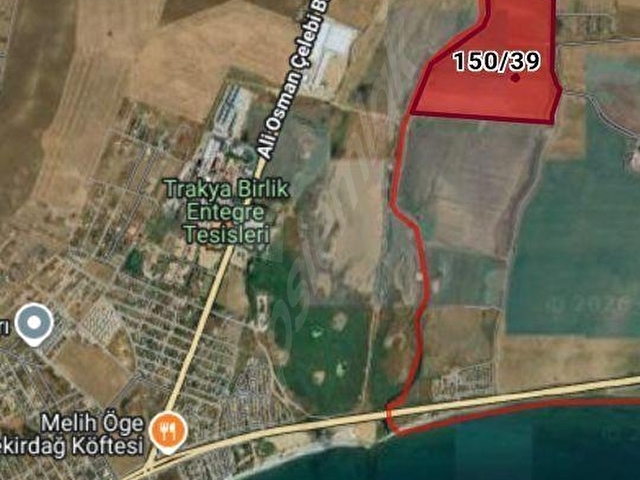 Tekirdağ Marmara Ereğlisi Çeşmeli yatırımlık kelepir tarla - Görsel 13