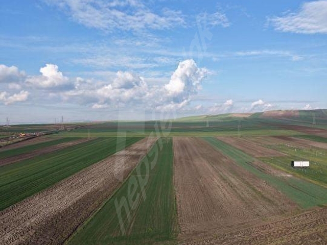 Tekirdağ Marmara Ereğlisi Çeşmeli yatırımlık kelepir tarla - Görsel 2
