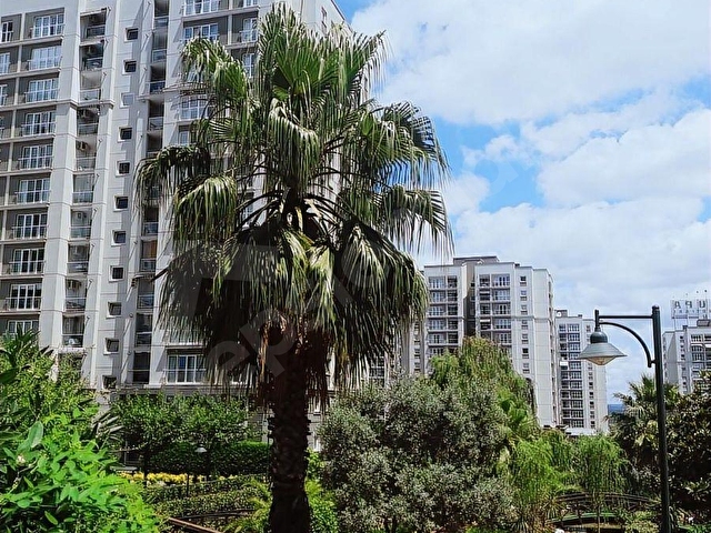 AVRUPA KONUTLARI İÇİ YENİLENMİŞ TADİLATLI BOŞ KİRALIK 4+1 DAİRE - Görsel 25