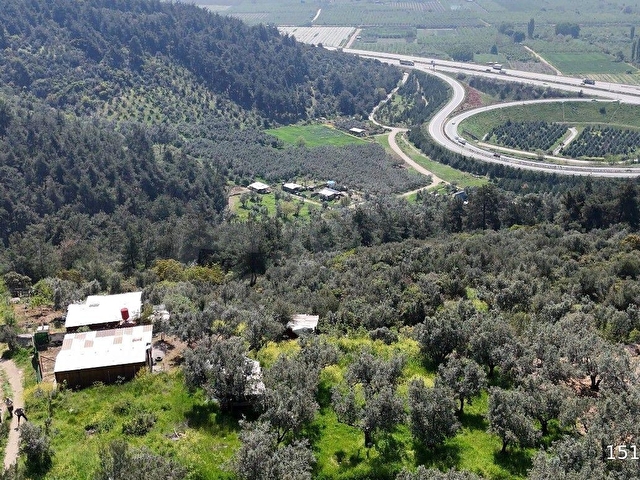 BURSA OSMANGAZİ DEMİRTAŞ - İSMETİYE 175 M² HOBİ - ZEYTİN BAHÇESİ - Görsel 17