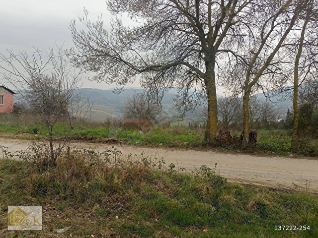 Yalova Merkez Soğucak 5660 M2 Satılık Yatırımlık Tarla - Görsel 9