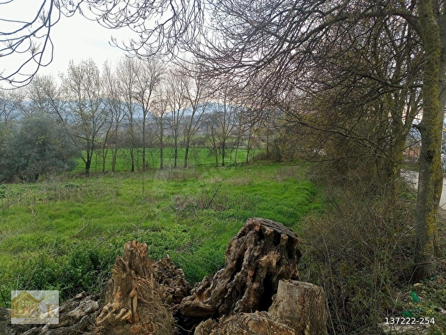 Yalova Merkez Soğucak 5660 M2 Satılık Yatırımlık Tarla - Görsel 12