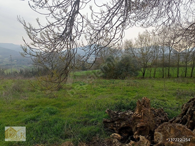 Yalova Merkez Soğucak 5660 M2 Satılık Yatırımlık Tarla - Görsel 15