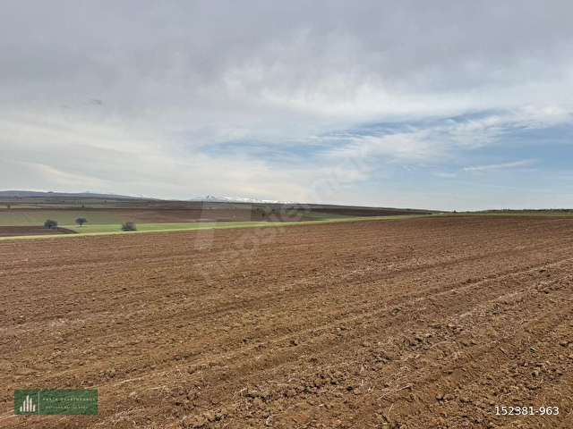 BÜNYAN BÜYÜKTUZHİSAR 5.851 M2 EKİLİP DİKİLİR, BESİCİLİK YAPILIR, BAĞ EVİ YAPILIR KONUMU HARİKA TARLA - Görsel 6