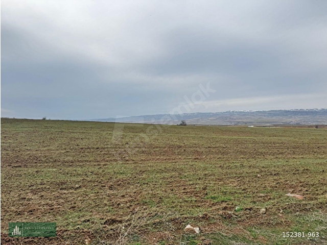 BÜNYAN BÜYÜKTUZHİSAR 5.851 M2 EKİLİP DİKİLİR, BESİCİLİK YAPILIR, BAĞ EVİ YAPILIR KONUMU HARİKA TARLA - Görsel 20