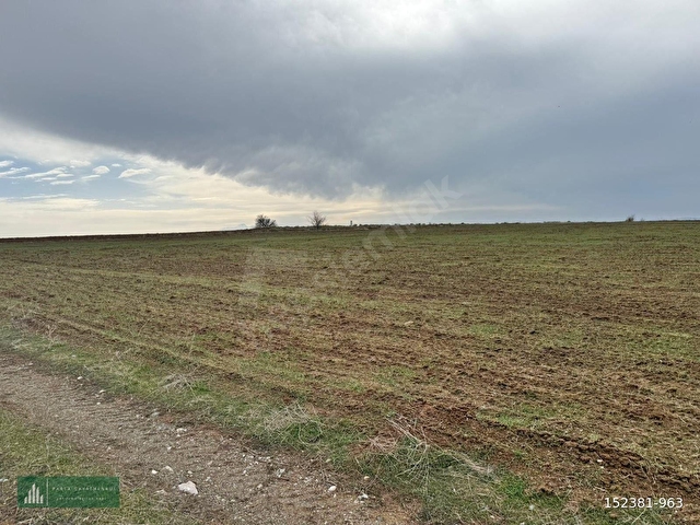 BÜNYAN BÜYÜKTUZHİSAR 5.851 M2 EKİLİP DİKİLİR, BESİCİLİK YAPILIR, BAĞ EVİ YAPILIR KONUMU HARİKA TARLA - Görsel 10