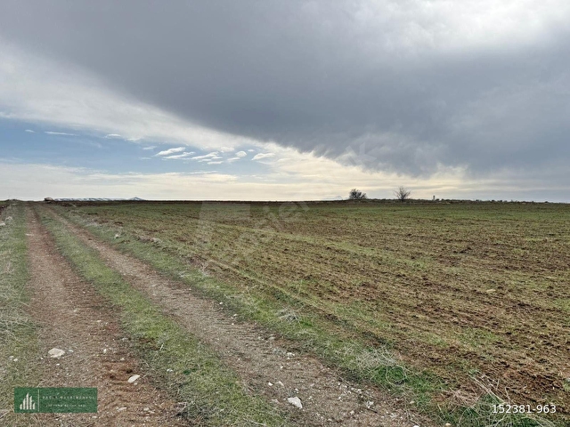 BÜNYAN BÜYÜKTUZHİSAR 5.851 M2 EKİLİP DİKİLİR, BESİCİLİK YAPILIR, BAĞ EVİ YAPILIR KONUMU HARİKA TARLA - Görsel 15