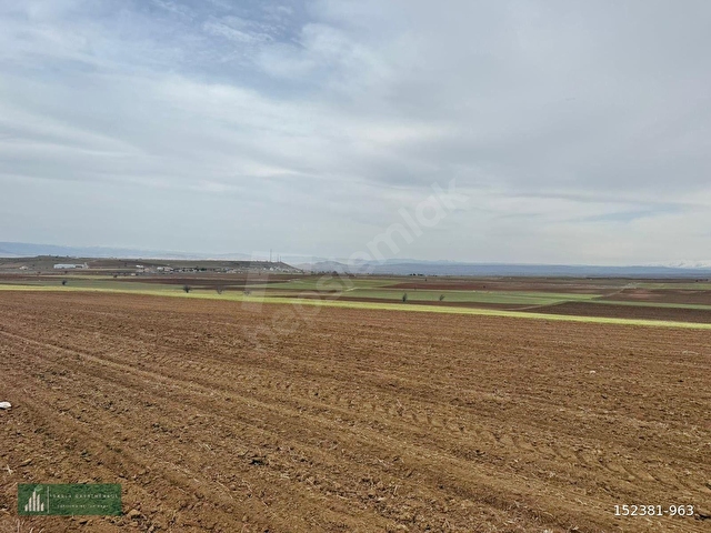 BÜNYAN BÜYÜKTUZHİSAR 5.851 M2 EKİLİP DİKİLİR, BESİCİLİK YAPILIR, BAĞ EVİ YAPILIR KONUMU HARİKA TARLA - Görsel 11